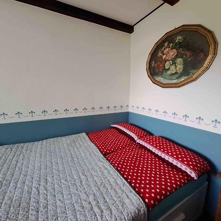 Ferienhaus Gransee Unmittelbar Am Stechlinsee - Radweg Екстериор снимка